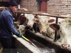 ����̳��忪����԰�ۺ��彨�衰������塱