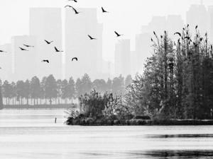 2018���й���ȫ�潨���Ӻ�����