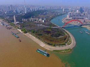 �������������������ű�׼��