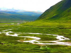 ȫ��469��������Ȼ����������ɨ����