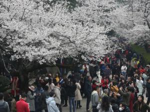 ������ҵ�������ͻ����á�������ȡ�֢