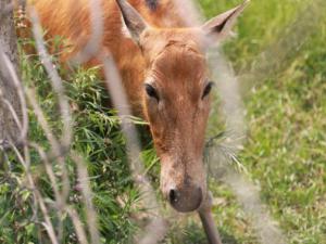 �������й������С�ʯ������ޣ�����Ұ����¹���������Ϣ����