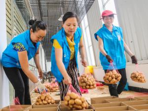 �ֻ��¡�ũ�ߡ���ƶ��������������