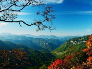 ��ũ���߳��˿�ֱ���������β�ҵ �����ɫ��չɭ�ָ����ʴ�91%