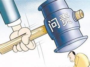 ��������鱨����ͷѡ������ܴ���