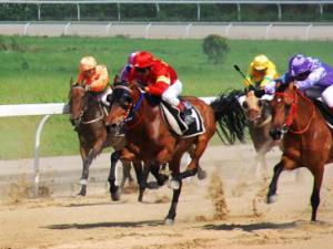 ע�᳤���̱�APP ��������������ѿ�����