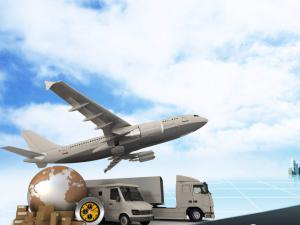 �����׸�����������Ŧ�仧���� ��Ͷ�ʳ�1000��