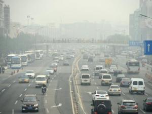 ������������Ⱦ������������β��