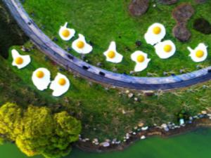 �й��������ʹ�������԰��ʽ��԰