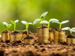 ��ɽ�����������������人����λ