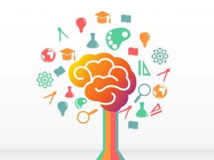 ����29��ɹ�(ͨ����)����ҿ�ѧ������