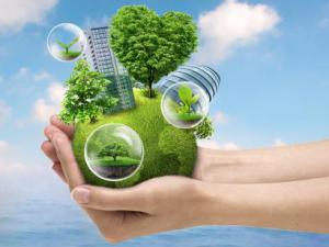 �人��������Ⱦ����Ӧ��Ԥ��������Ӧ