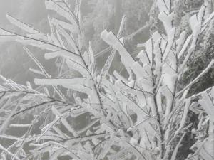 ��ѩ��Ϯ ��ӻ�����ÿ��Сʱ�������м�