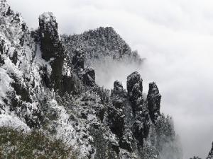 3��25��ǰ����ũ����̬������ ������Ʊ���������ۡ�