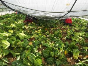 �̵�ƶ����140������޲����� ��֧�顰�󹺡�����