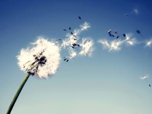 2017�����ʡ�����������Ը���  �����������������ӽ�80%