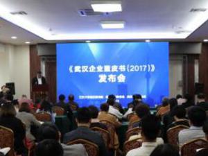 �人��ҵ��Ƥ�飨2017������ &nbsp; ��С��ҵ���ñ���ռ����