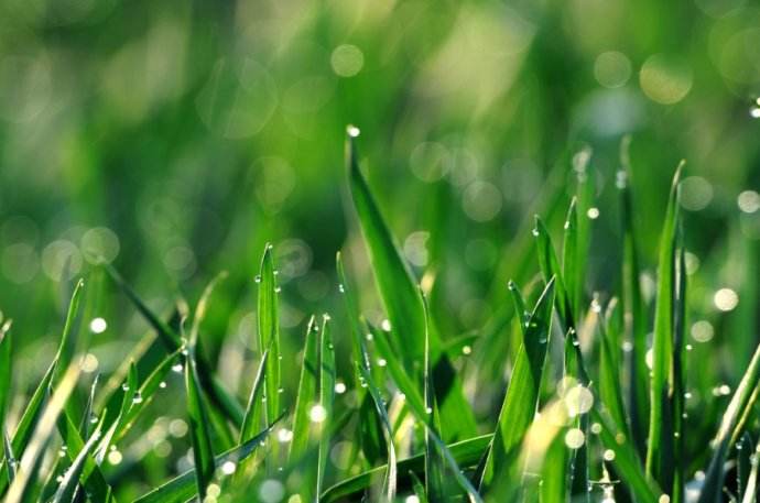 ���굽 ��ˮ��