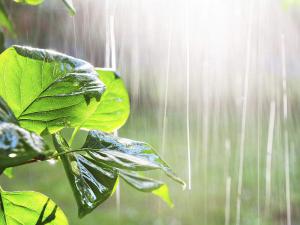 ���+����+ǿ��ˮ ������ӭ��һ�������