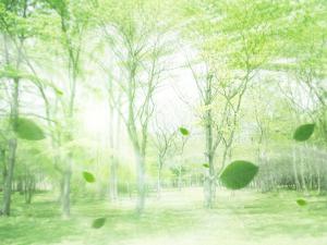 ��Ъ�粻ͣ ��������ع龣��