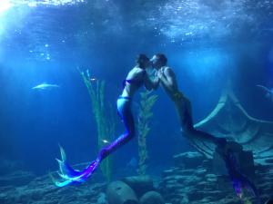 ����һ�����ι��ڻ�Ʊƽ���۸����765.3Ԫ  ����ƱԤ����ͬ����300%