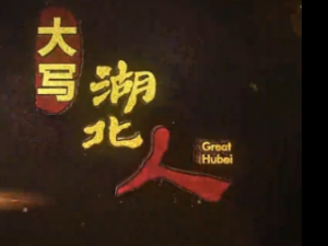  �߶˵��ӷ�̸��Ŀ����д�����ˡ��ڶ���17�տ���