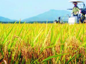 ������ʳ����ת�������仧�人�Ṥ��ѧ