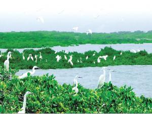 ���������ز��𳤽�������̬������������ר���ж�