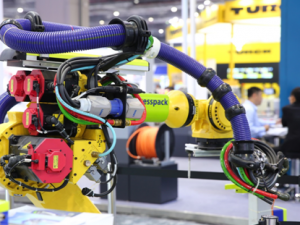 �����Ĵ�����˳���6�������人