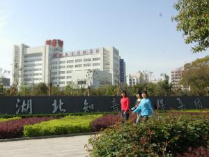 ����������׽̷��6��9���ں���Ļ