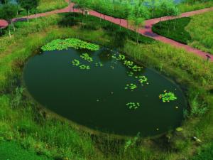 �人������н���ɻ�������  ����30����