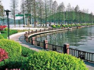 ����ɫ���� ���������ص����Щ��