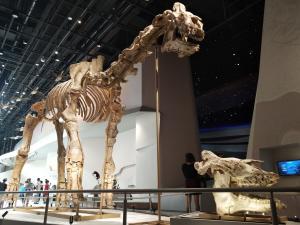 �人��Ȼ�����•���ִ��������7��18�տ���