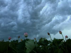 ǿ���굽��  ����������Ԥ��