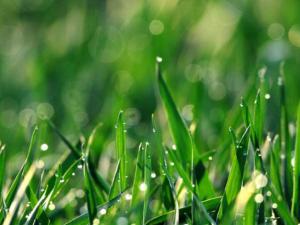 �������ʡ÷���������ʢ��