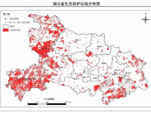 ����������̬���� �����4.15��ƽ������