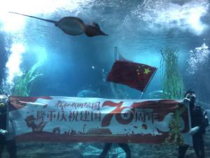 �人�й��콫�Ƴ�ϵ���Ļ����λ  ���������Ʊ