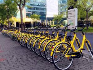 ofo10Ԫ? ofoӦ̱: