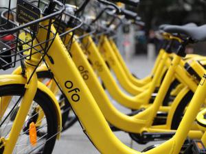 ofoֳշѱ׼ɱǼ