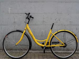 ofo̳ȵ ӭ䡰