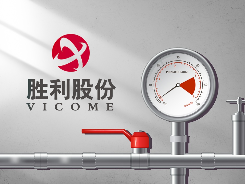 ʤɷչ4ҹ˾ǿҵ   ע21ȼʲԴ