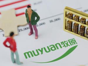 ��ԭ�ɷ���ļ200�������ʲ�������1400��  ��Ӣ�ֺ���60�ڵͼ۰�����������������