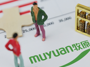 ԭɷۼ½ӯ56%   ǰ¸ծܶ98ǰ