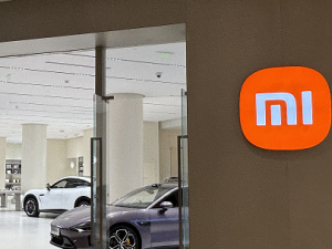 С׼ջ񡰱족   80.9%ֵ3600