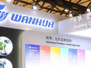 �򻪻�ѧ191����������̼����ҵ &nbsp; ȫ������Ͷ���ֽ�����������2227��