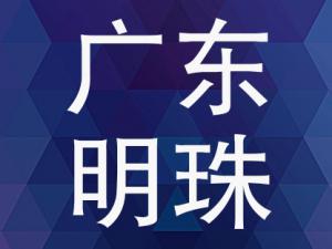㶫3155Ԫ  й˾¶ȥ꾫׼ƶ