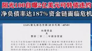 1002ԪתծΥԼ  ծʴ187%ʽΣ