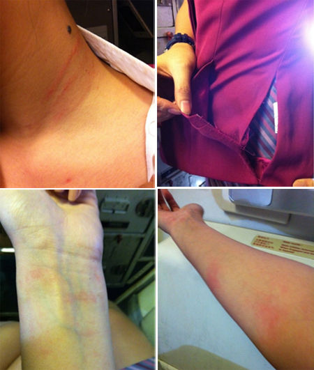 ����� ְͣ.jpg